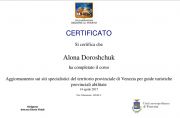Сертификат лицензированного гида по Венеции